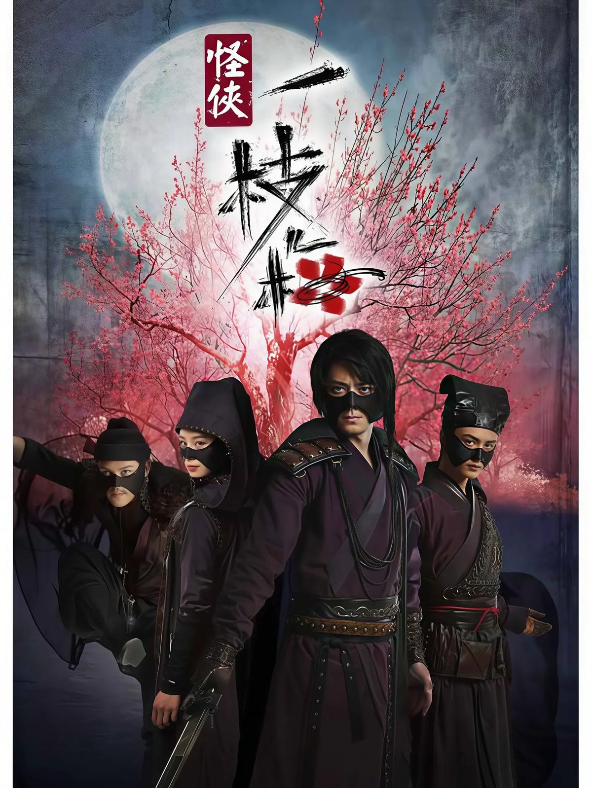怪侠一枝梅海报